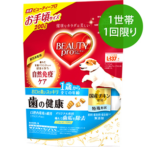 【1世帯1回限り】ビューティープロ ドッグ 歯の健康 １歳から