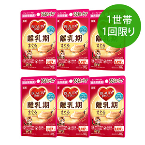 【1世帯1回限り】ビューティープロ キャット パウチ 離乳期 6個セット